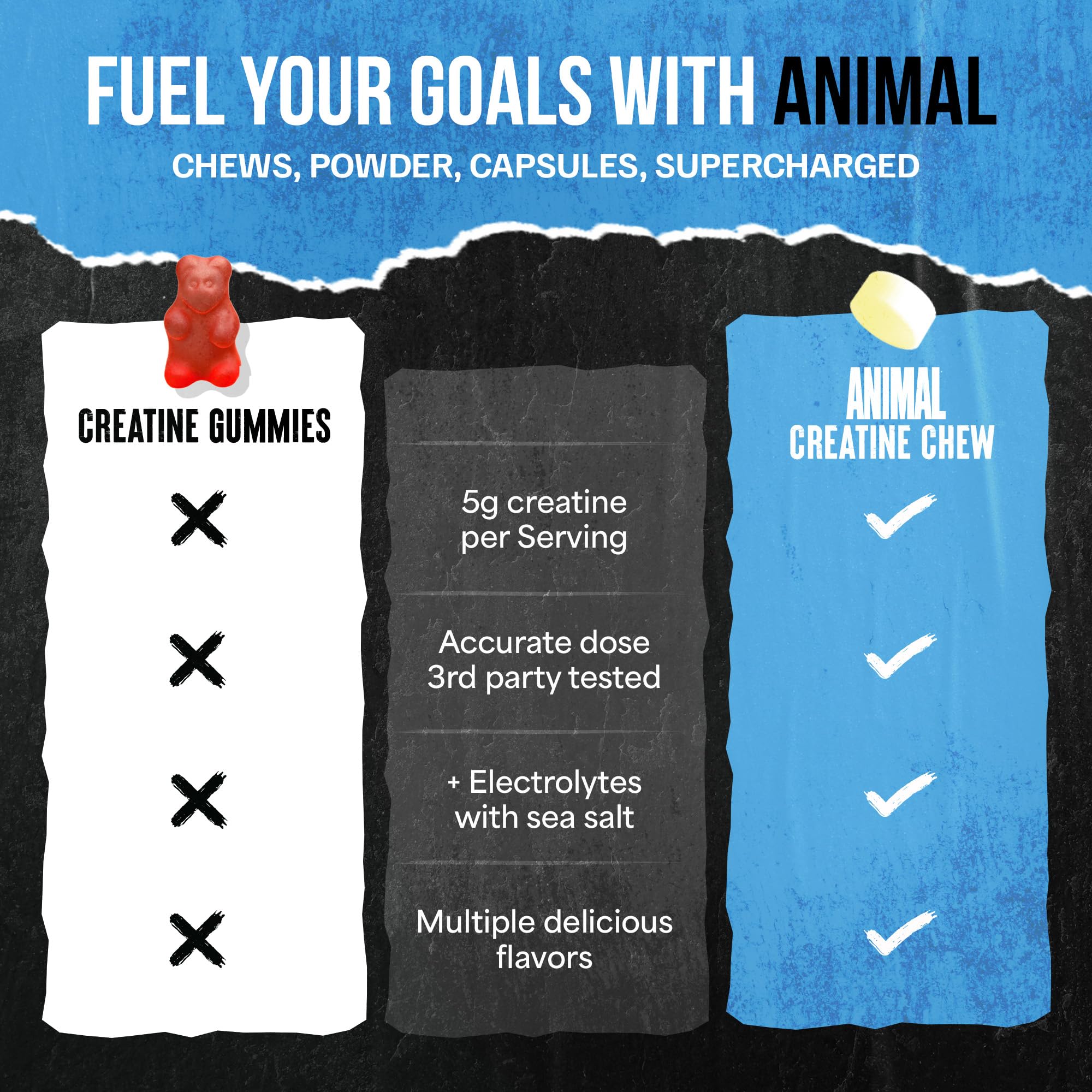 Animal Créatine Chews récupération post-entraînement, potentiellement utile pour la remise en forme.
