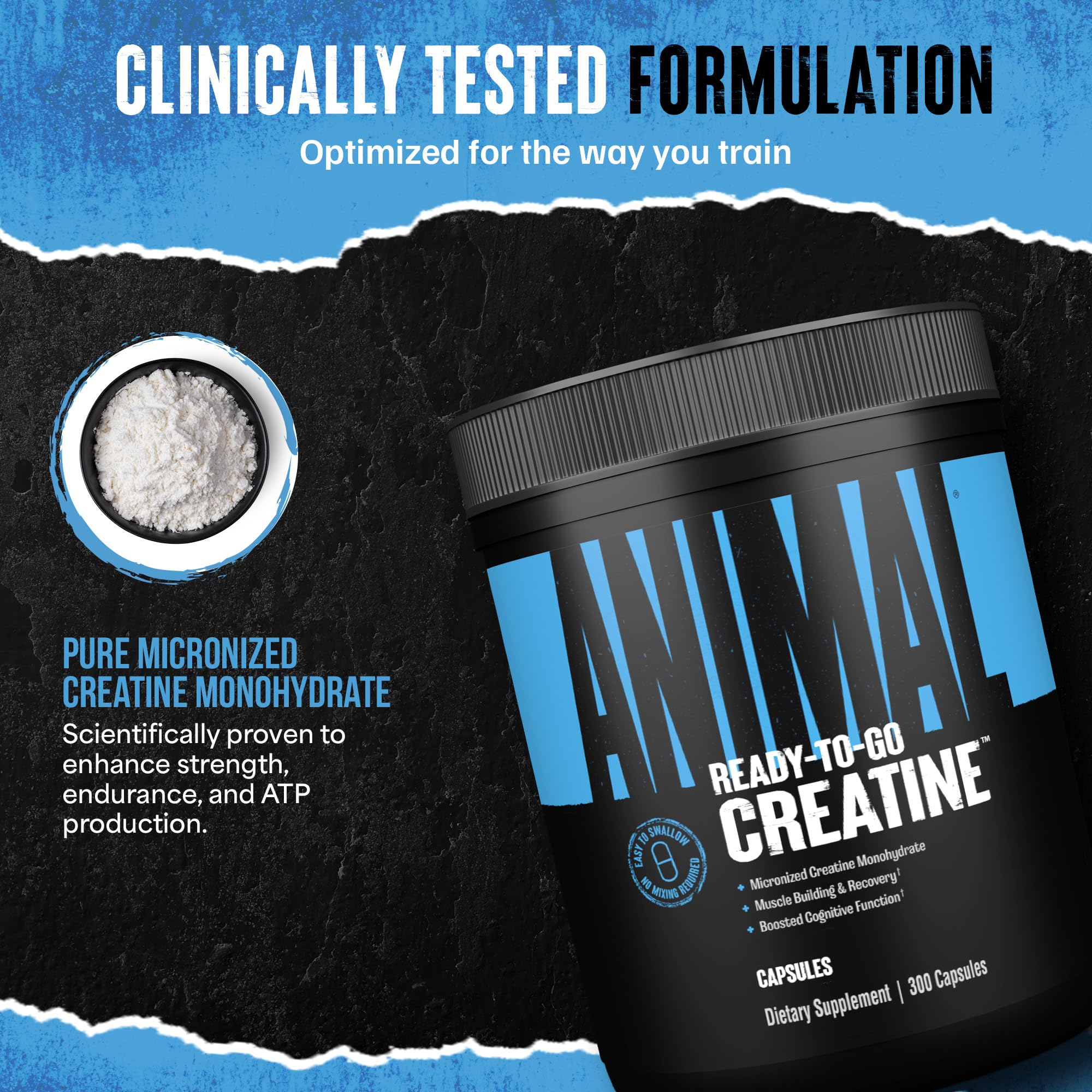 Animal créatine micronisée en capsules – récupération post-entraînement et réduction possible de la fatigue.