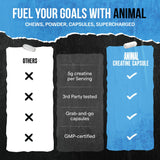 Animal créatine micronisée en capsules – prise avant l’entraînement pour soutenir l’effort.