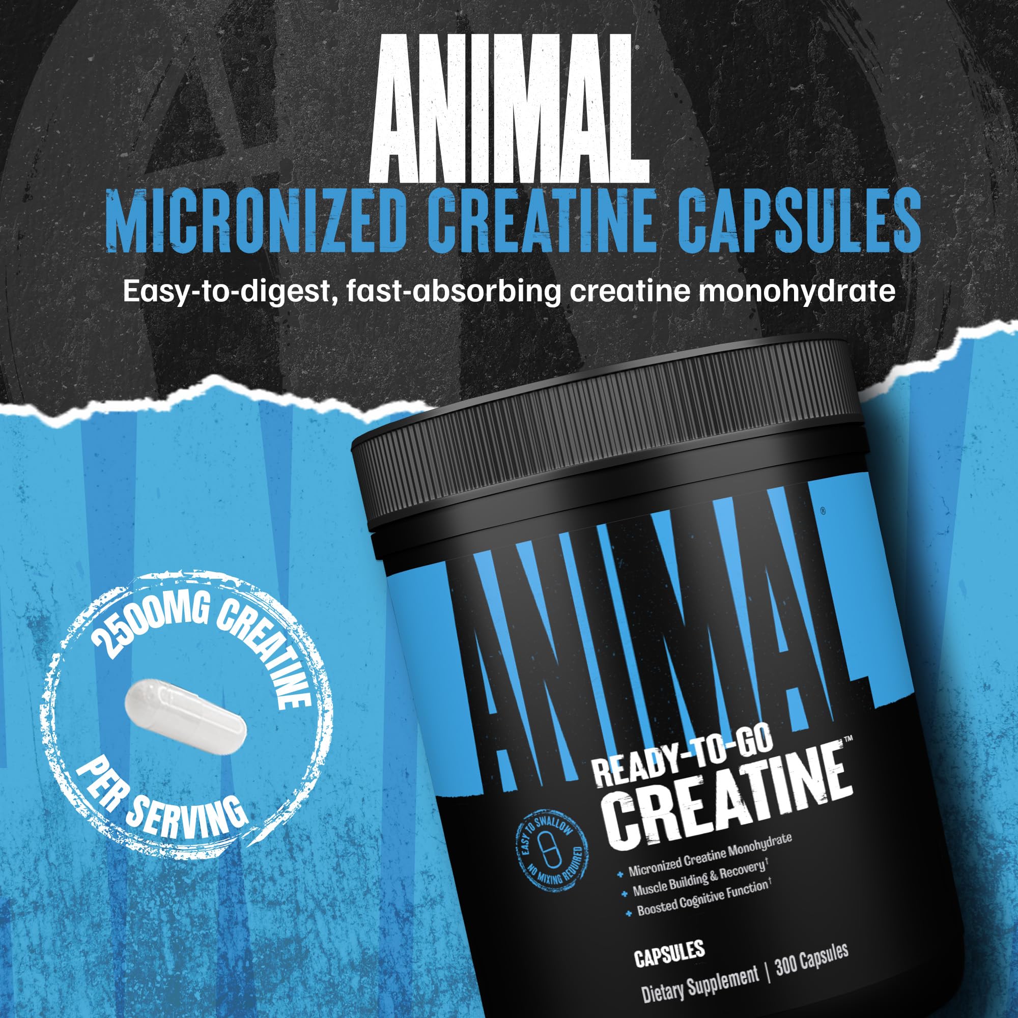 Animal créatine micronisée en capsules – préparation rapide avant l'entraînement.