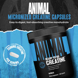 Animal créatine micronisée en capsules – préparation rapide avant l'entraînement.