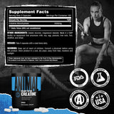 Animal créatine micronisée en capsules – prise quotidienne sans shaker ni dosage.