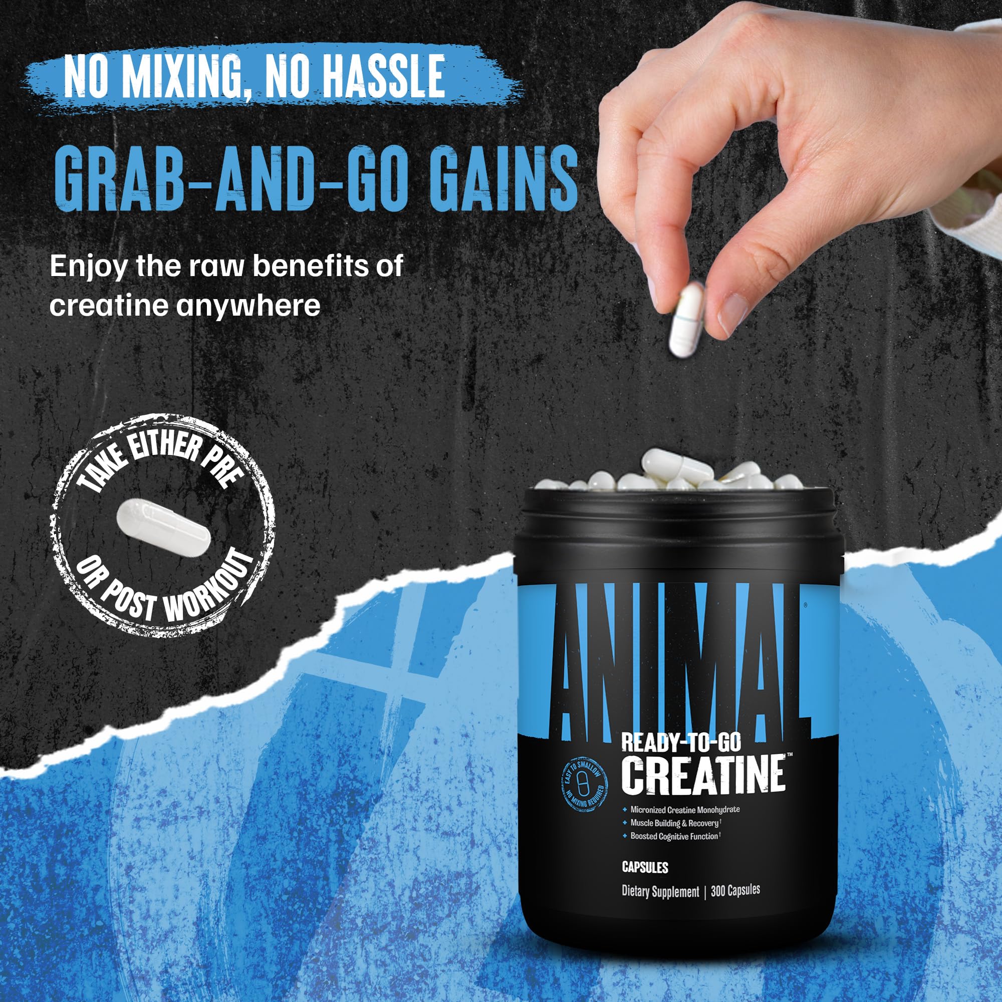 Animal créatine micronisée en capsules – facile à transporter dans le sac de sport.