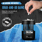 Animal créatine micronisée en capsules – facile à transporter dans le sac de sport.