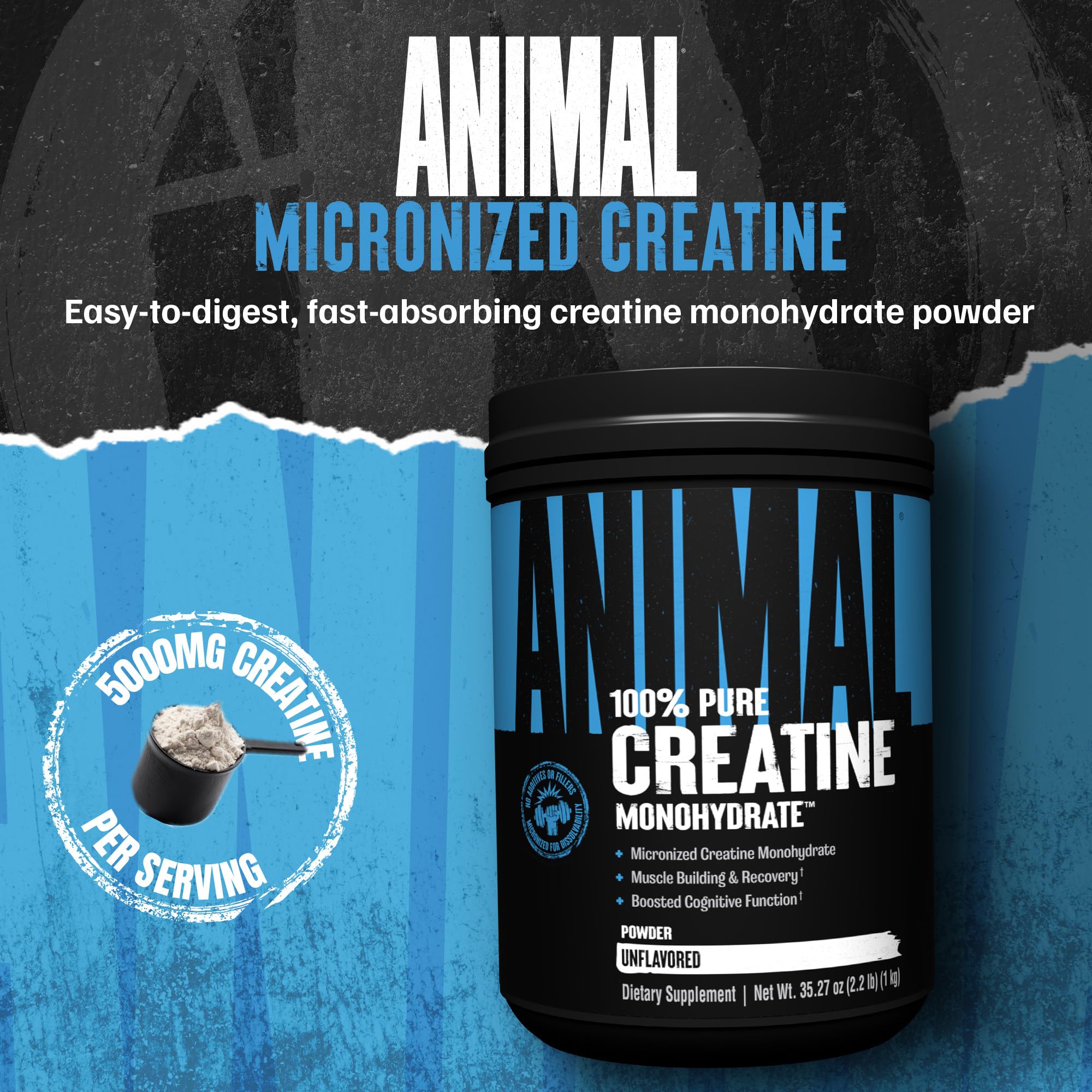 Animal Créatine Monohydrate – doseur inclus pour mesurer 5 g.