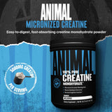 Animal Créatine Monohydrate – doseur inclus pour mesurer 5 g.