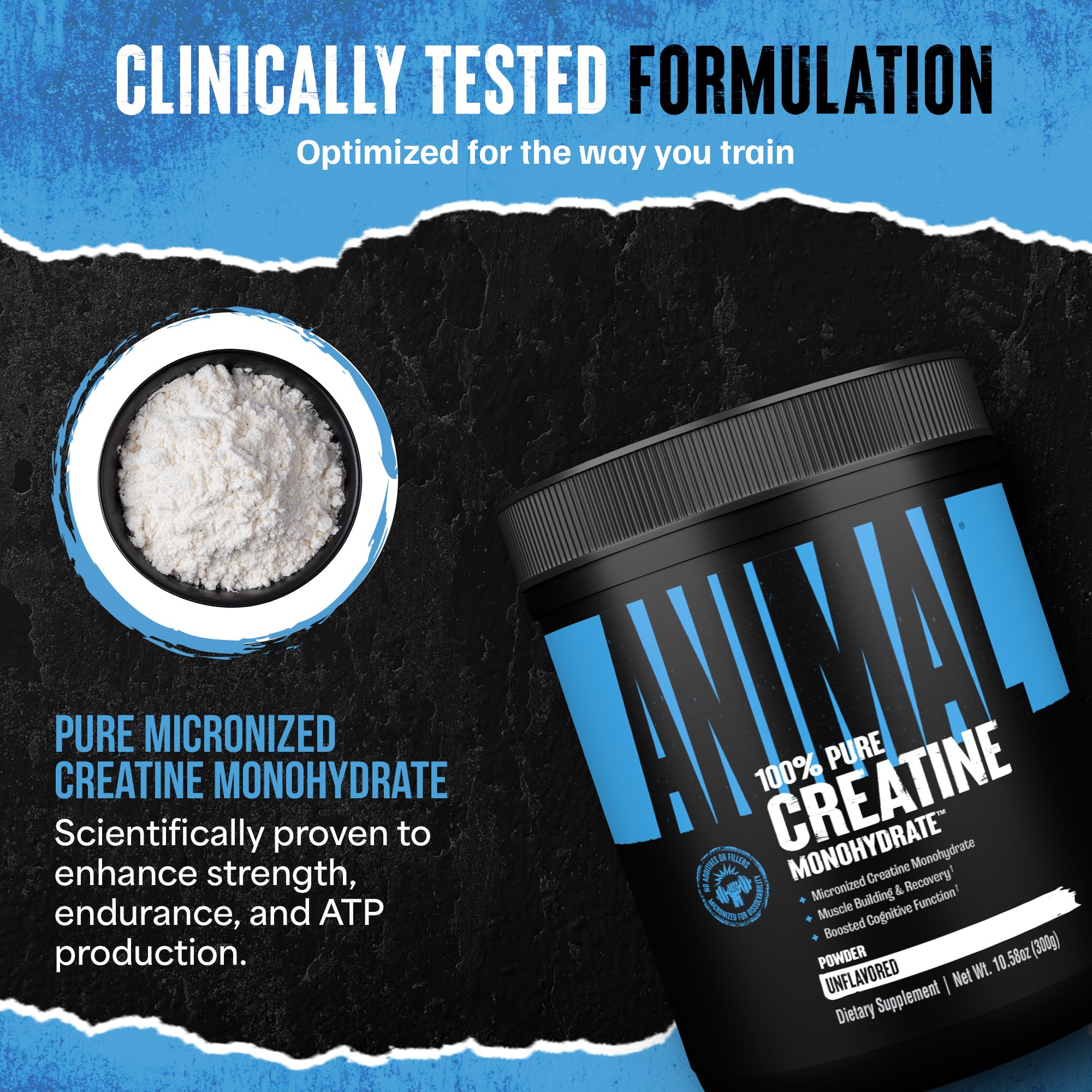 Animal Creatine Monohydrate mélange dans shaker, énergie et concentration.