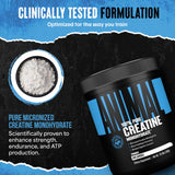 Animal Creatine Monohydrate mélange dans shaker, énergie et concentration.