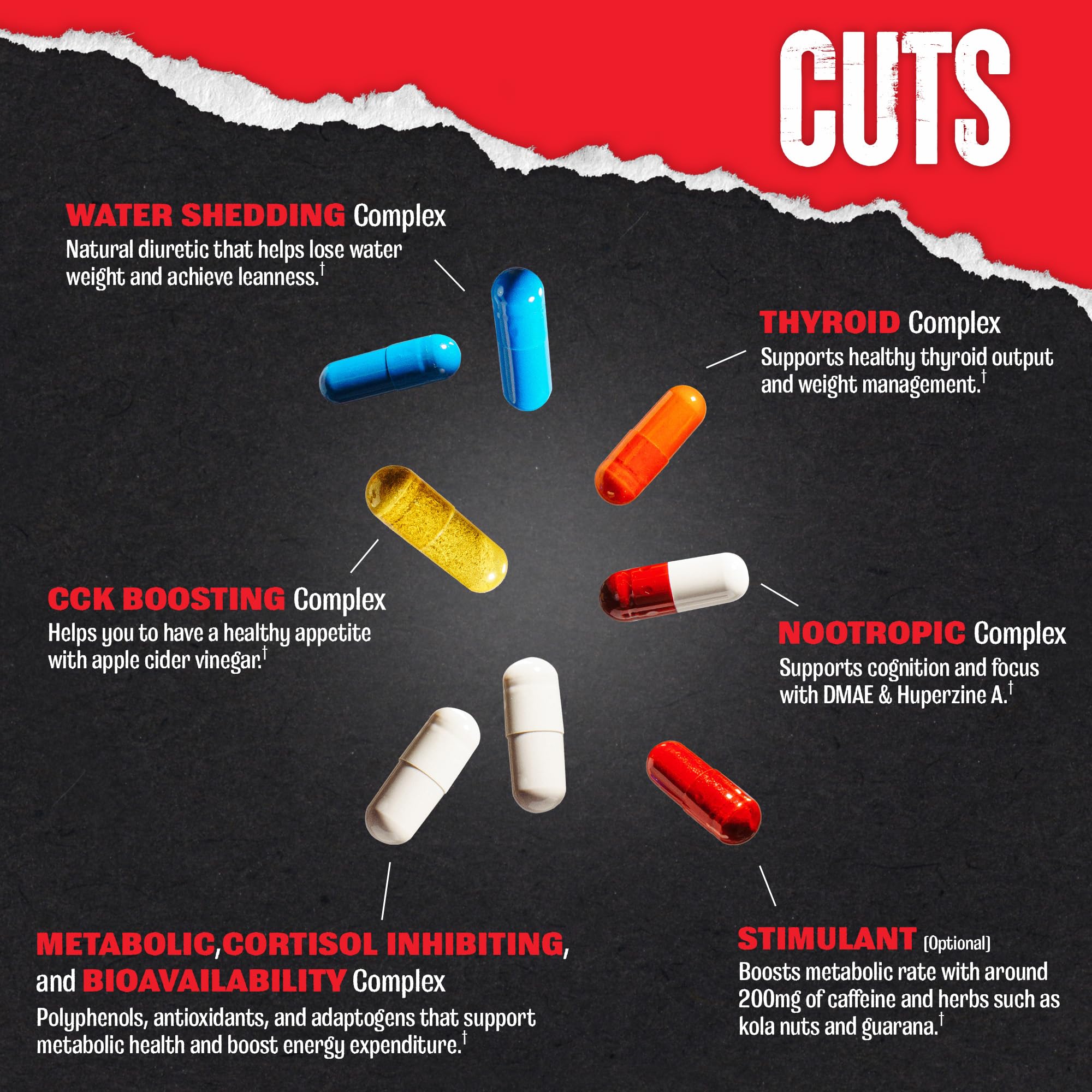 Animal Cuts : oxydation des graisses ciblée pour la composition corporelle lors d'efforts intenses.