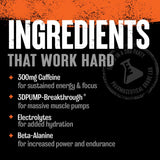 Hydratation pré-entraînement avec électrolytes Animal Primal favorisant l’absorption.