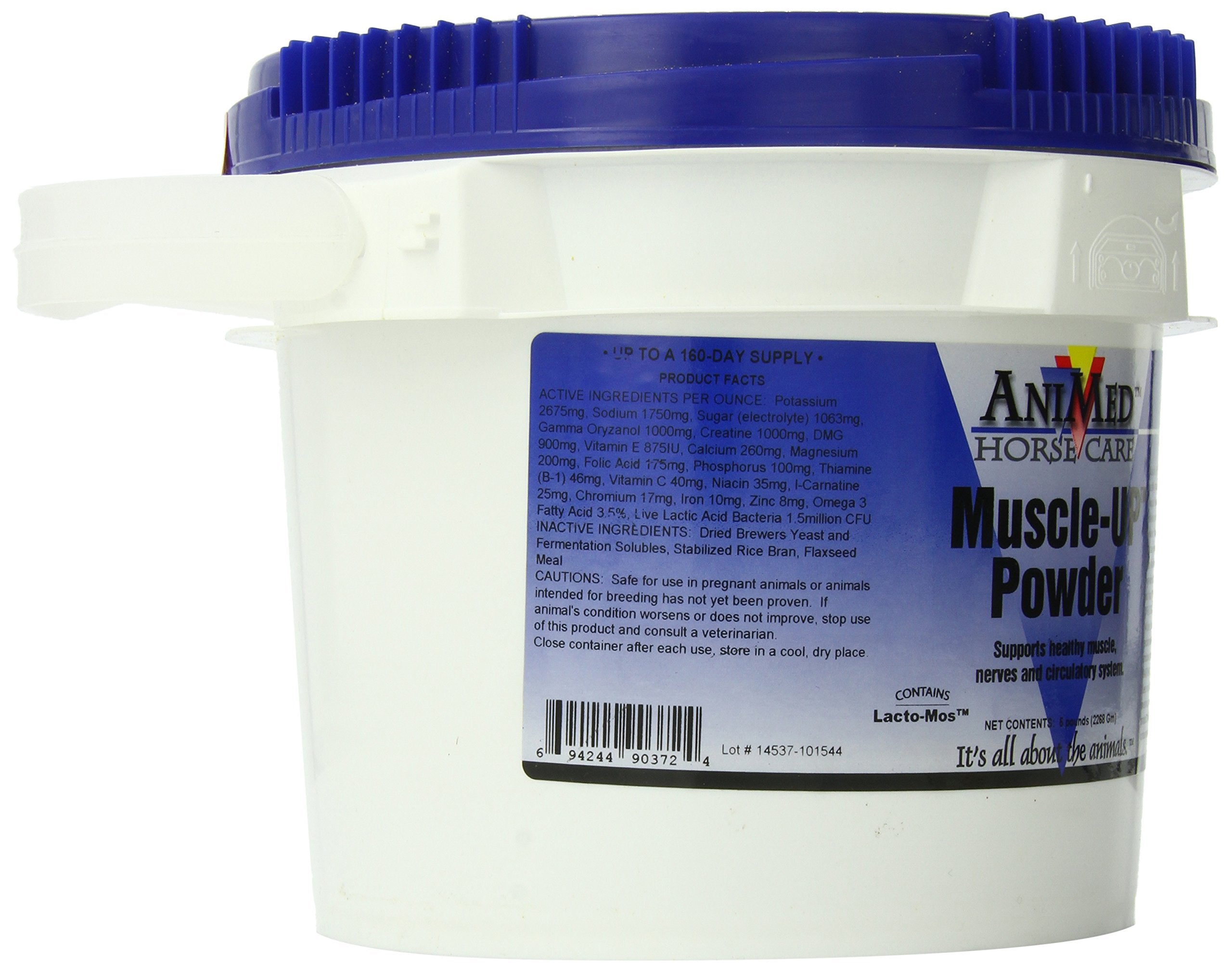 ANIMED MuscleUp Poudre doseur pour un dosage précis et une hydratation optimisée