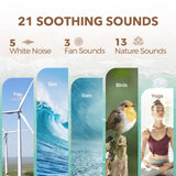 ANJANK sons naturels variés pour cadre relaxant.
