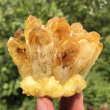 Anseqinzh quartz citrine pointe unique, focal pour méditation et grilles.