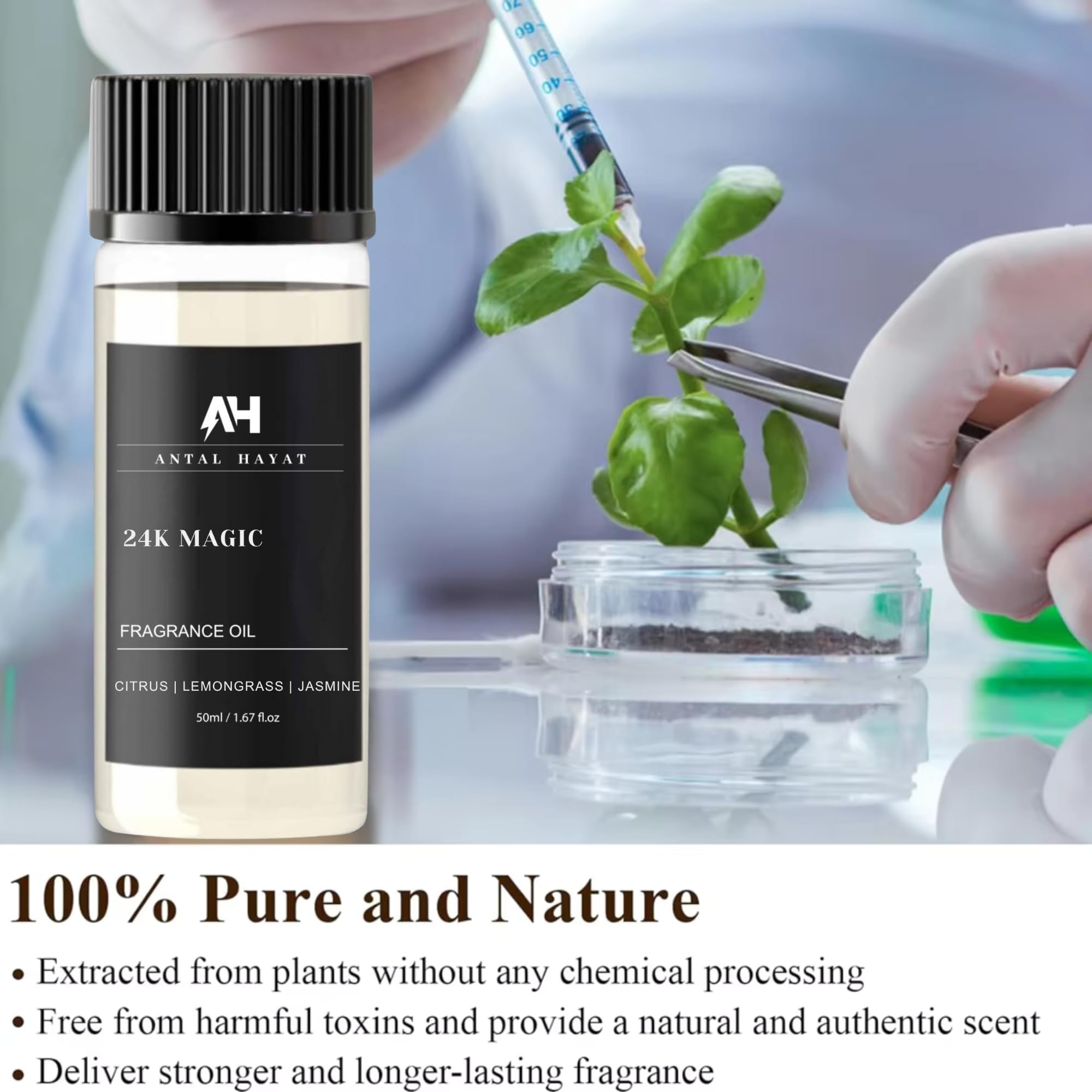 ANTAL HAYAT 24K Magic: Note jasmin élégante, ambiance sophistiquée et apaisante.