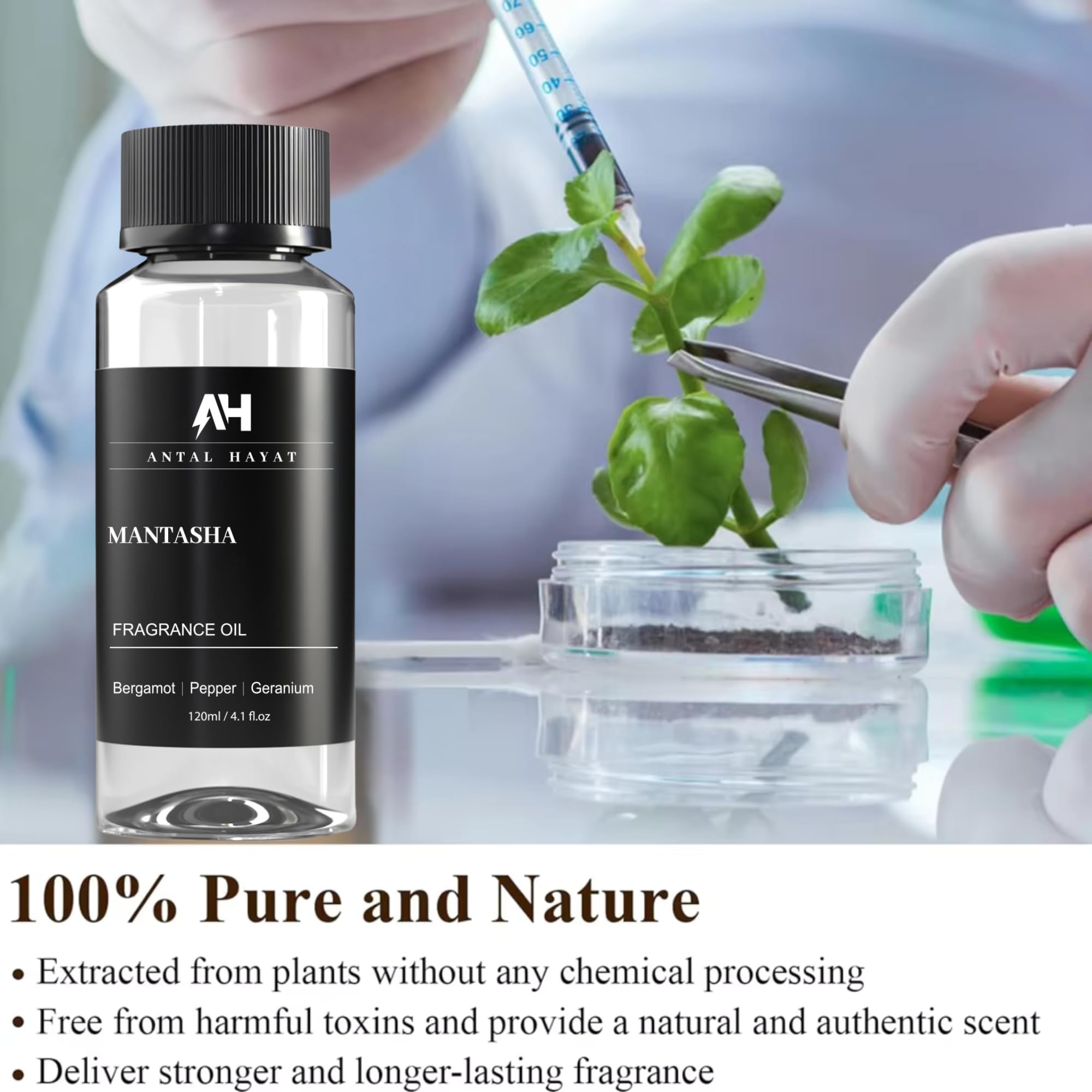 ANTAL HAYAT Mantasha, diffuseur compatible, utilisation quotidien dans salon ou spa.
