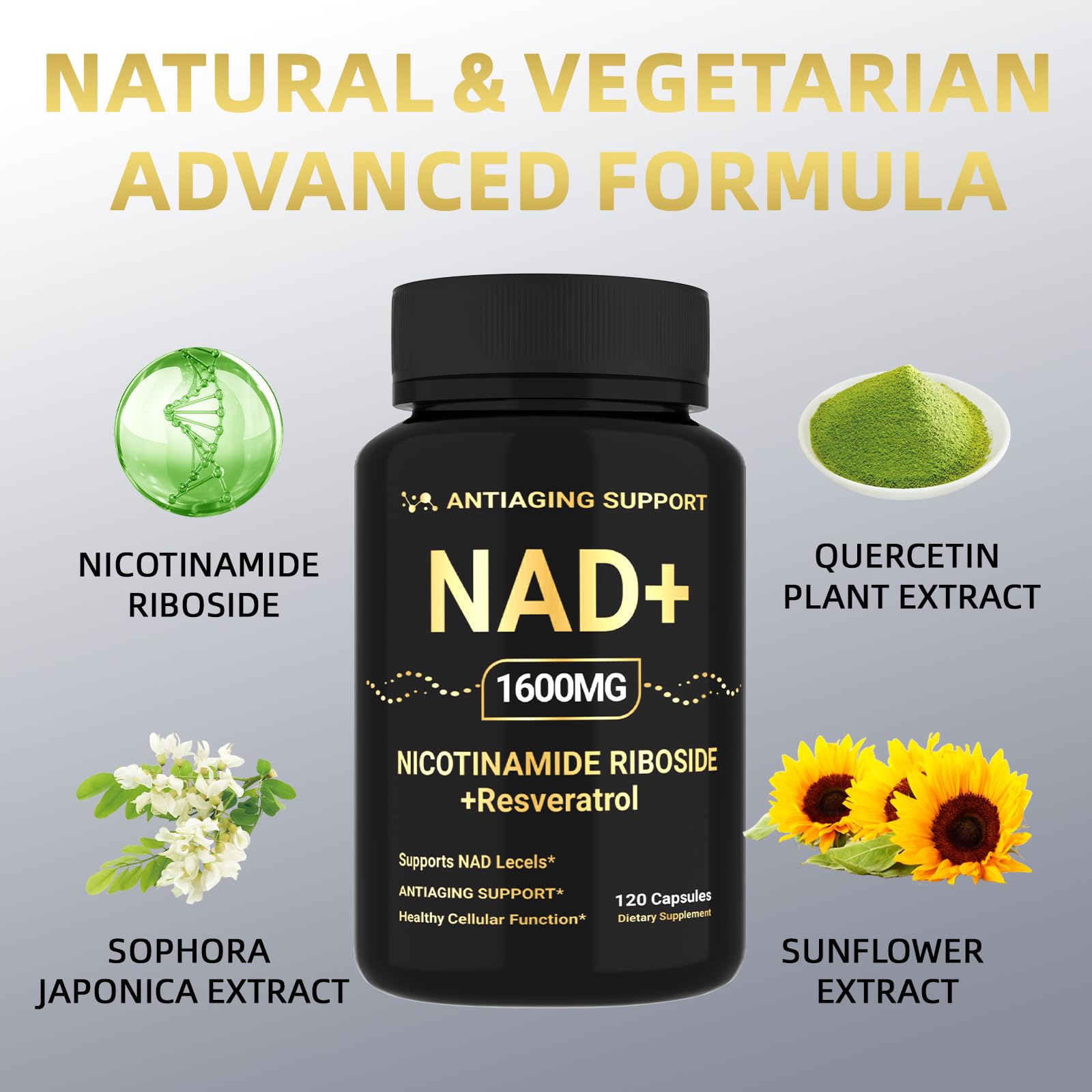 ANTIAGING SUPPORT NAD 1600mg - technologie liposomale pour meilleure absorption