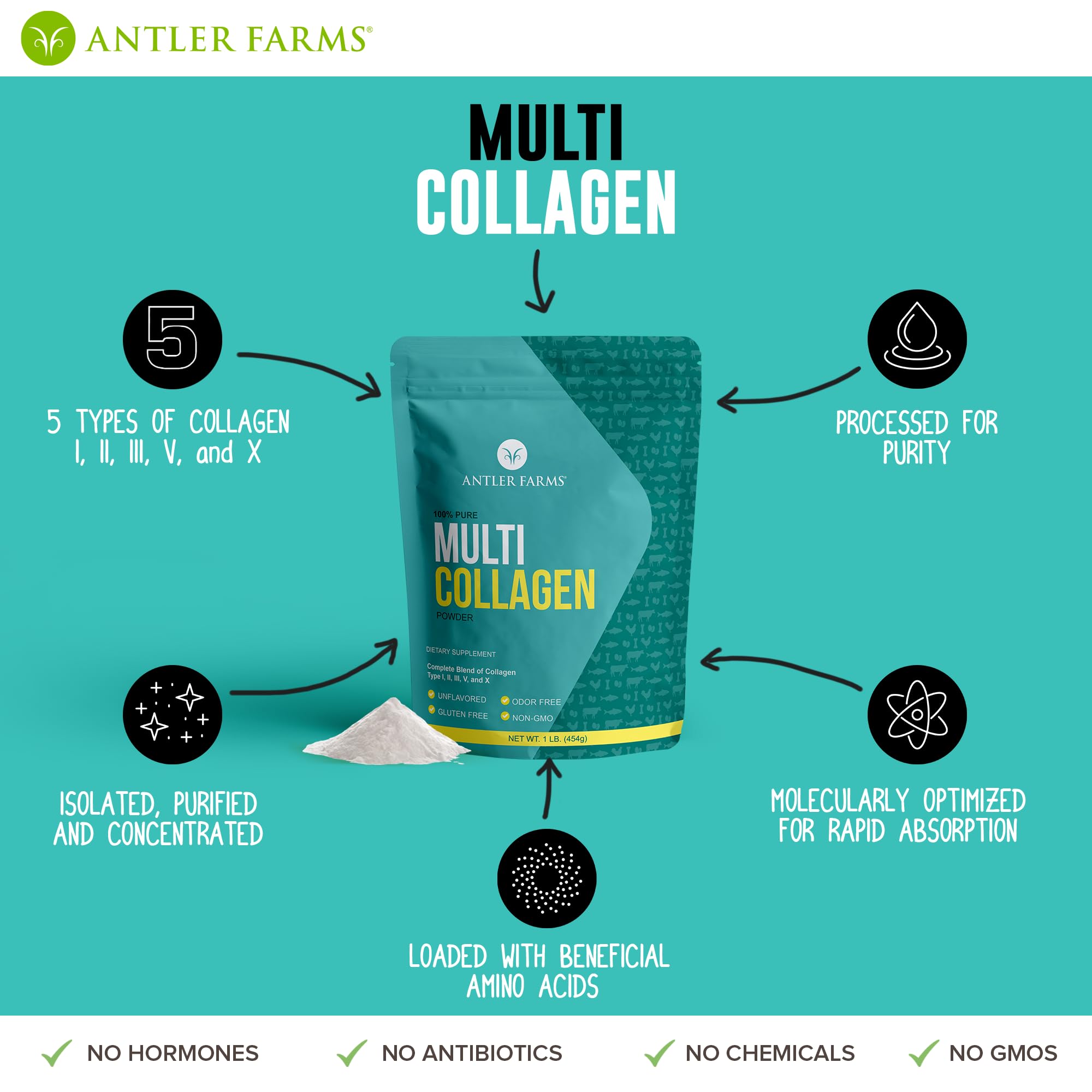 Antler Farms Multi Collagen – poudre naturelle neutre qui se fond facilement dans les boissons.