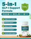Anven Health Akkermansia muciniphila—probiotique ciblé pour la flore intestinale.