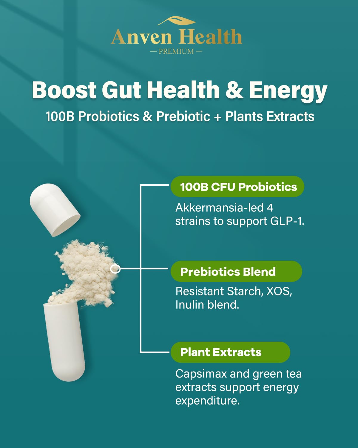 Anven Health Vitamines B2 et D, chrome—soutien au métabolisme et à l’immunité.