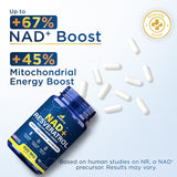 Anyglory NAD+ Plus – fabrication aux États‑Unis, normes GMP assurées