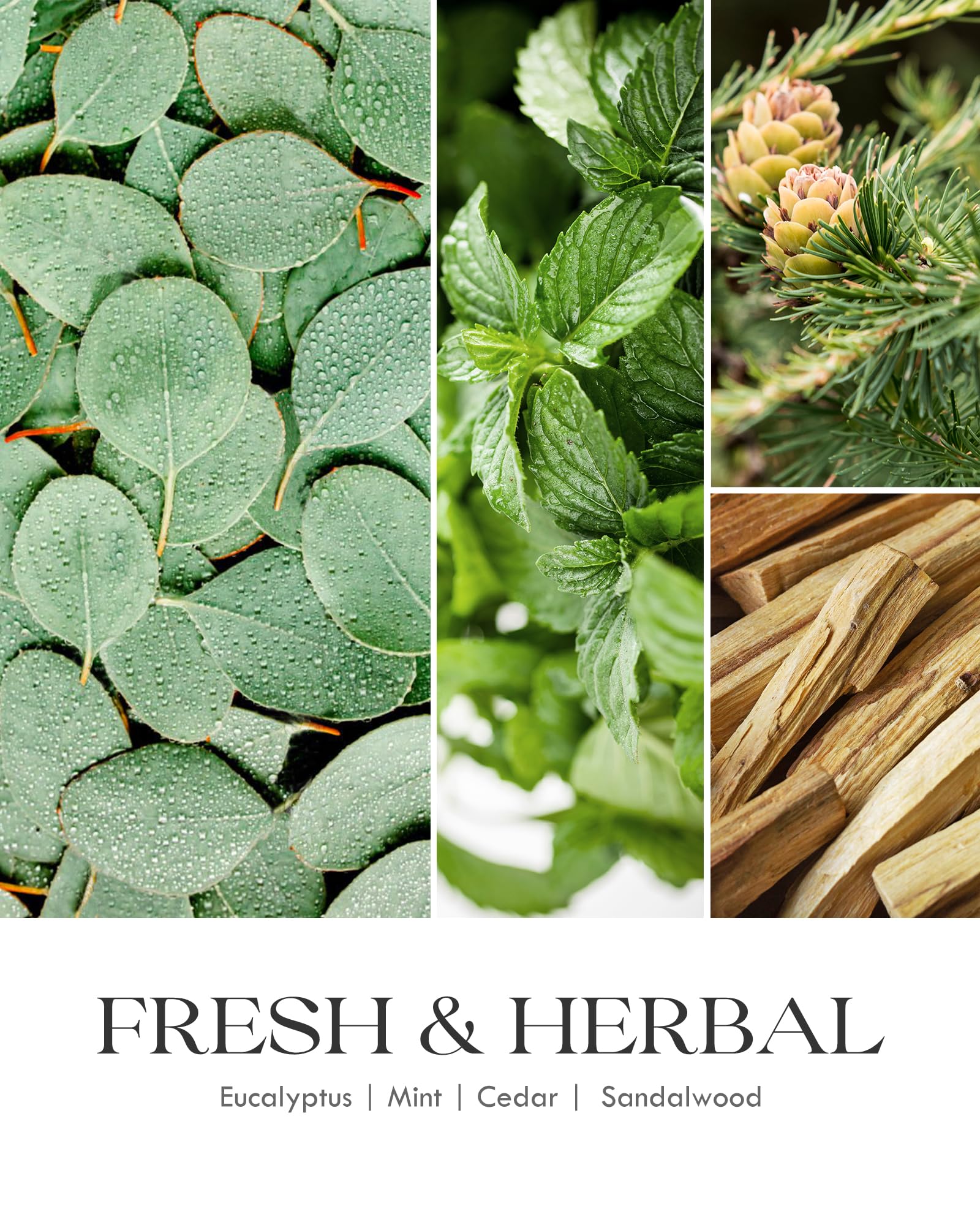 Bougie AOOVOO Eucalyptus mèche coton sans plomb pour une flamme régulière