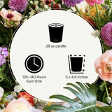 Conseils d'allumage APOTHEKE pour une combustion lente et uniforme.