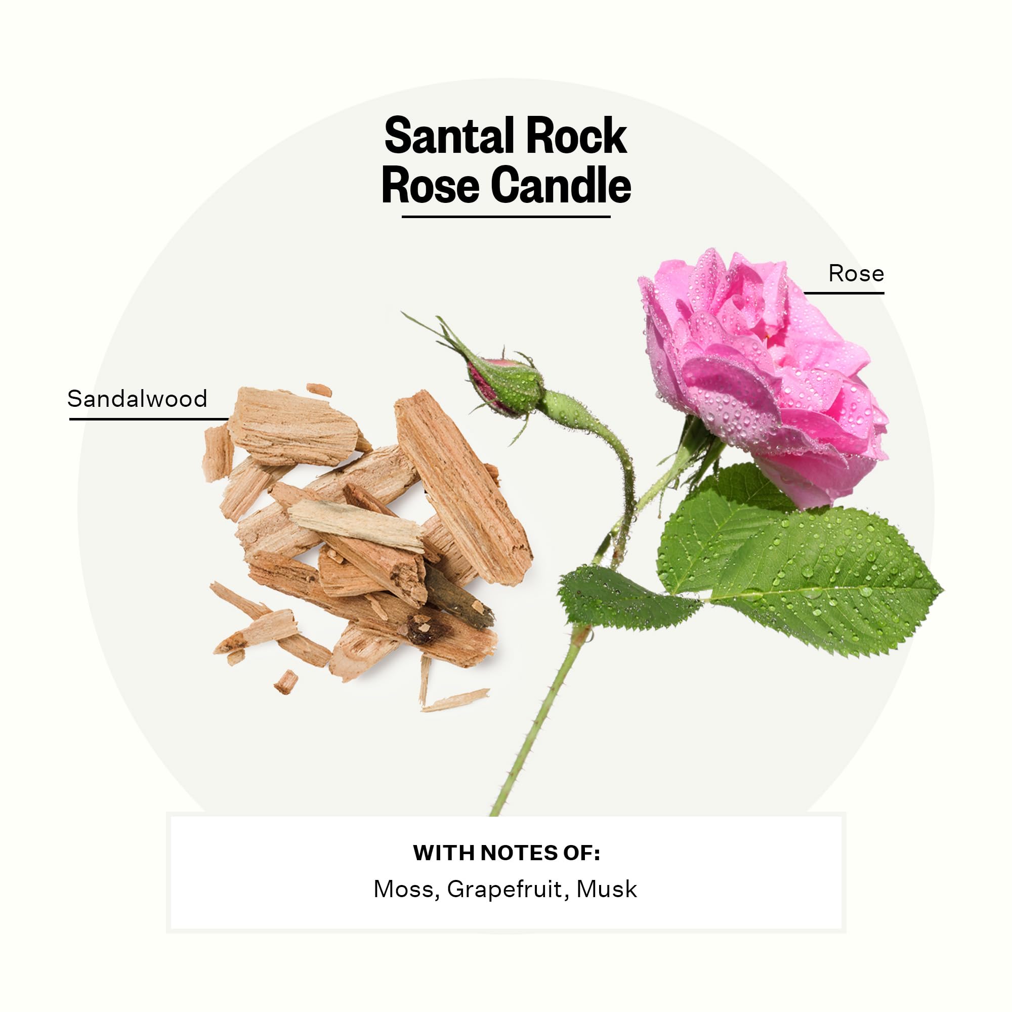 Verre réutilisable de la bougie APOTHEKE Santal Rock Rose en vedette.