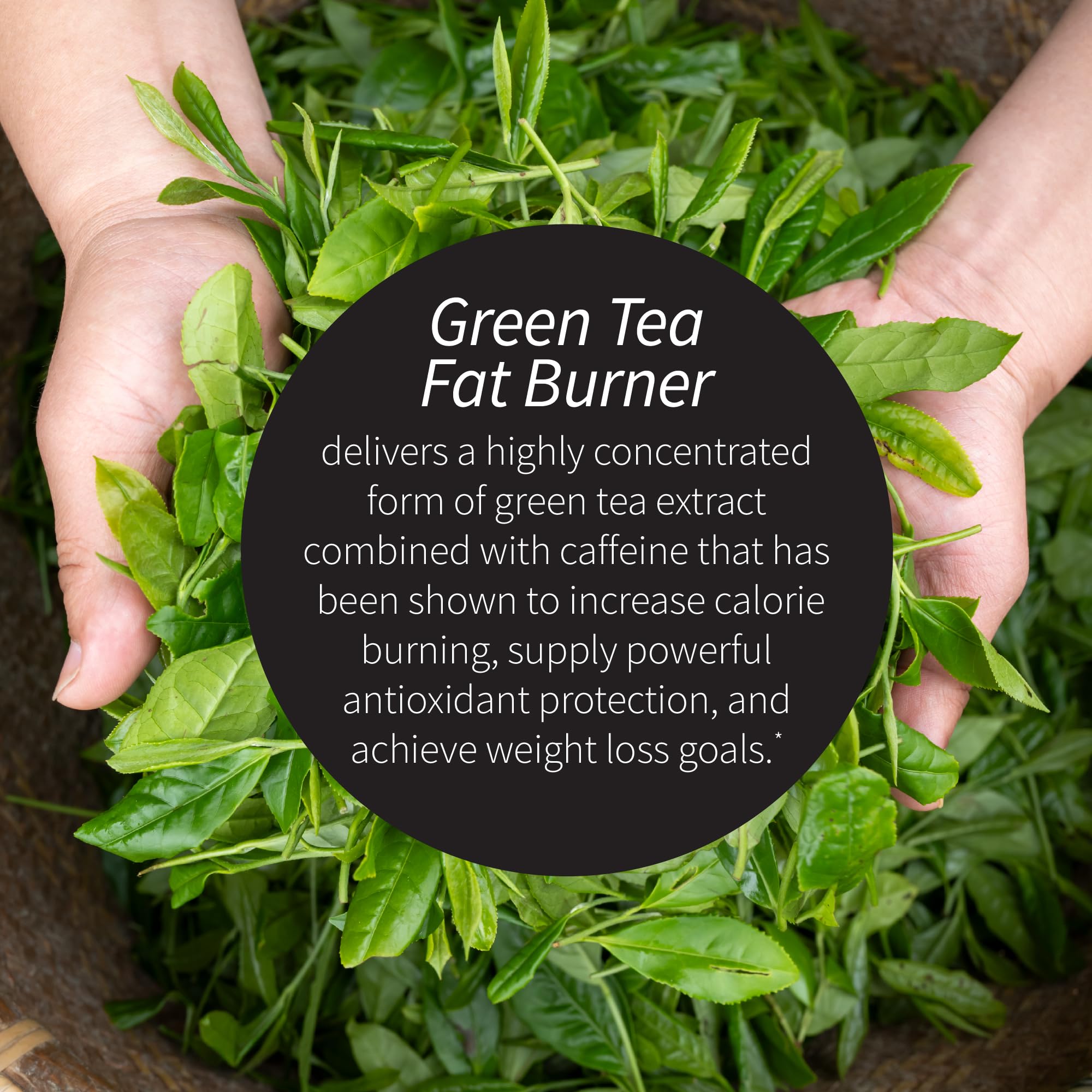 Applied Nutrition Green Tea Fat Burner : ingrédients antioxydants tels que raisin et myrtille.