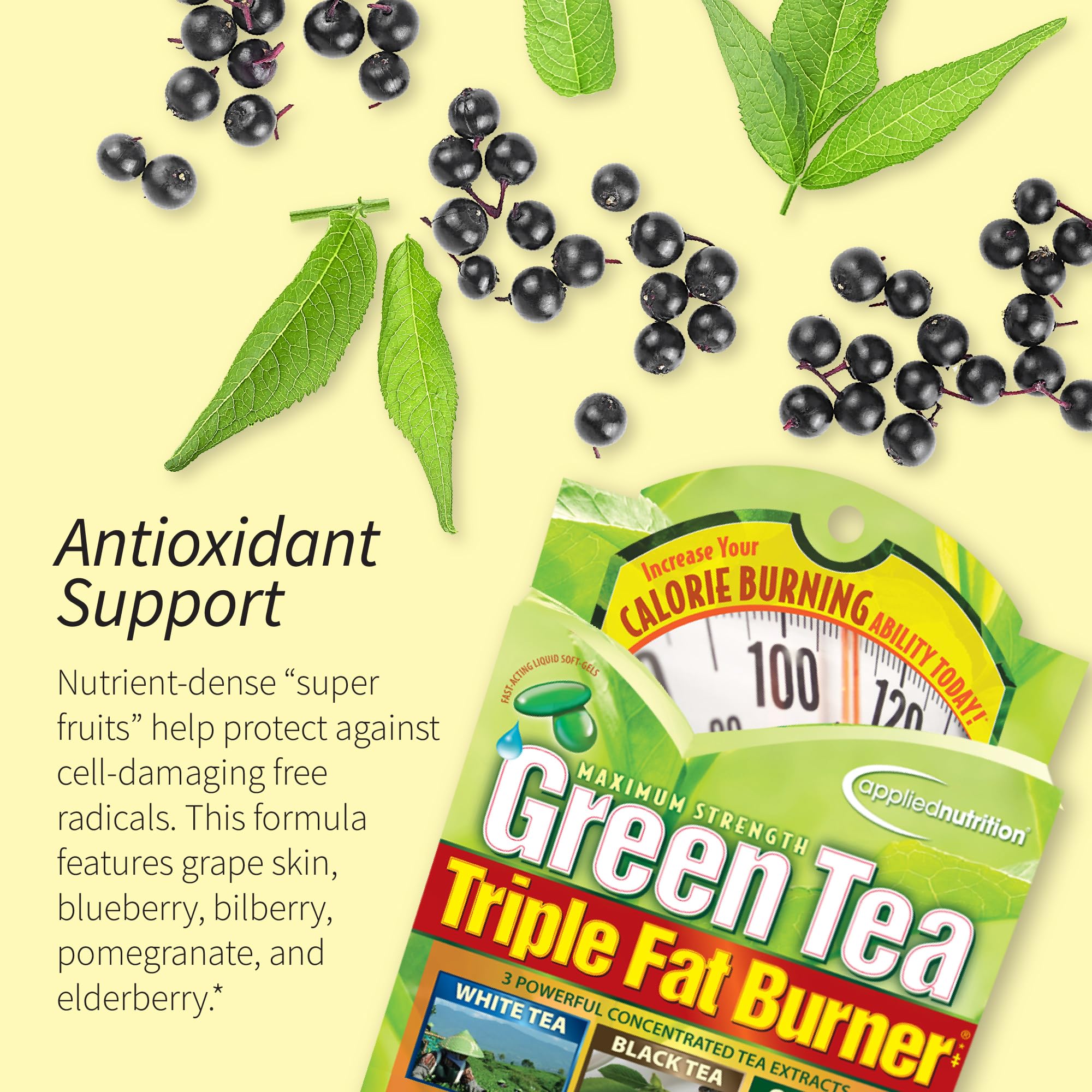 Applied Nutrition Green Tea Fat Burner matrice botanique Vitalité soutient énergie et concentration.