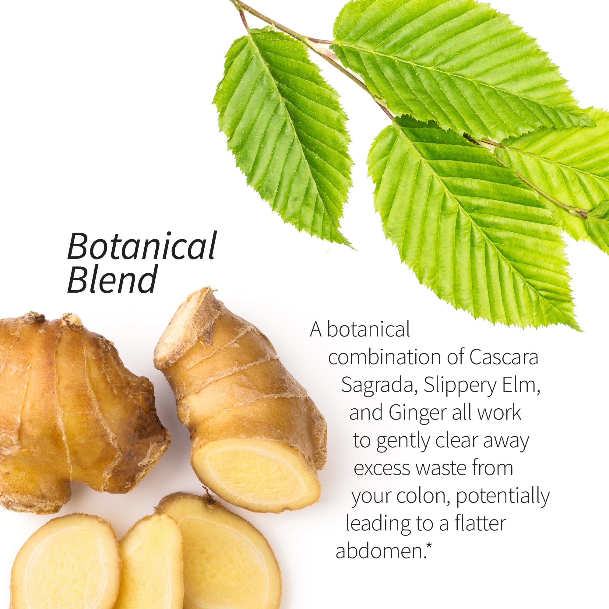 Applied Nutrition Mélange superfruits acai myrtille mangoustan litchi