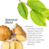 Applied Nutrition Mélange superfruits acai myrtille mangoustan litchi