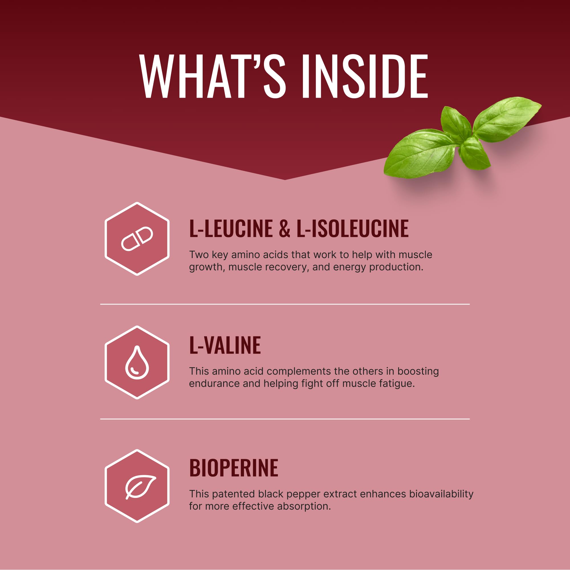 Approved Science BCAA - capsules pour absorption rapide et énergie pendant l'entraînement.