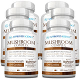 Approved Science Mushroom Complex — bouteille: dosage quotidien pour l'énergie spontanée.