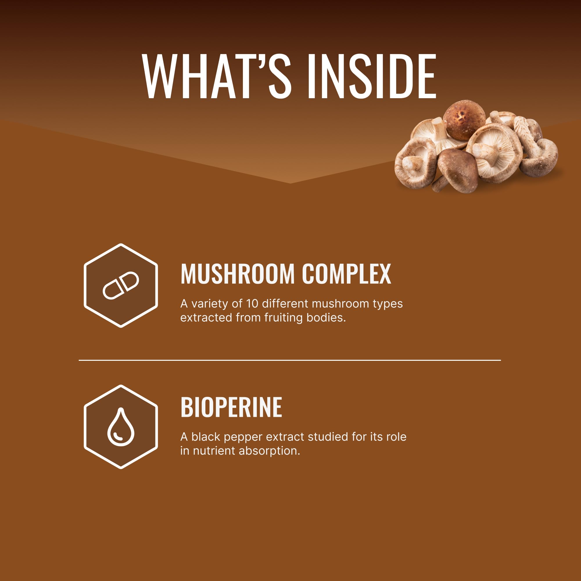 Approved Science Mushroom Complex — gelules: capsules faciles à prendre au quotidien.