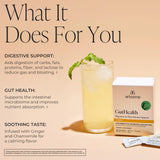 Arbonne GutHealth avec sachet doseur, pratique et facile à mesurer.