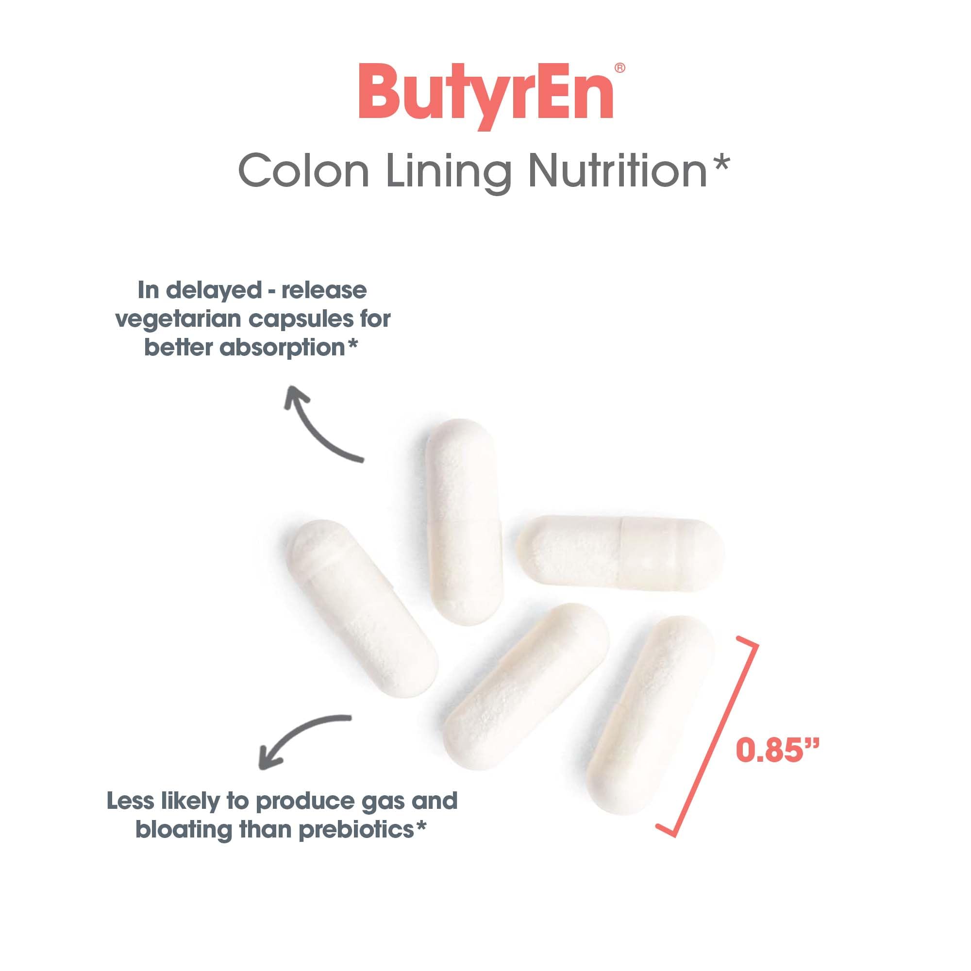ARG ButyrEn: schéma digestif illustrant l'appui potentiel sur le côlon.