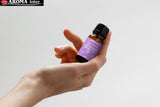Flacon Aroma Inter romarin pour parfum herbacé et soins maison.