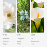 Notes de lis crèmeux et aloe créent une impression lumineuse et douce.