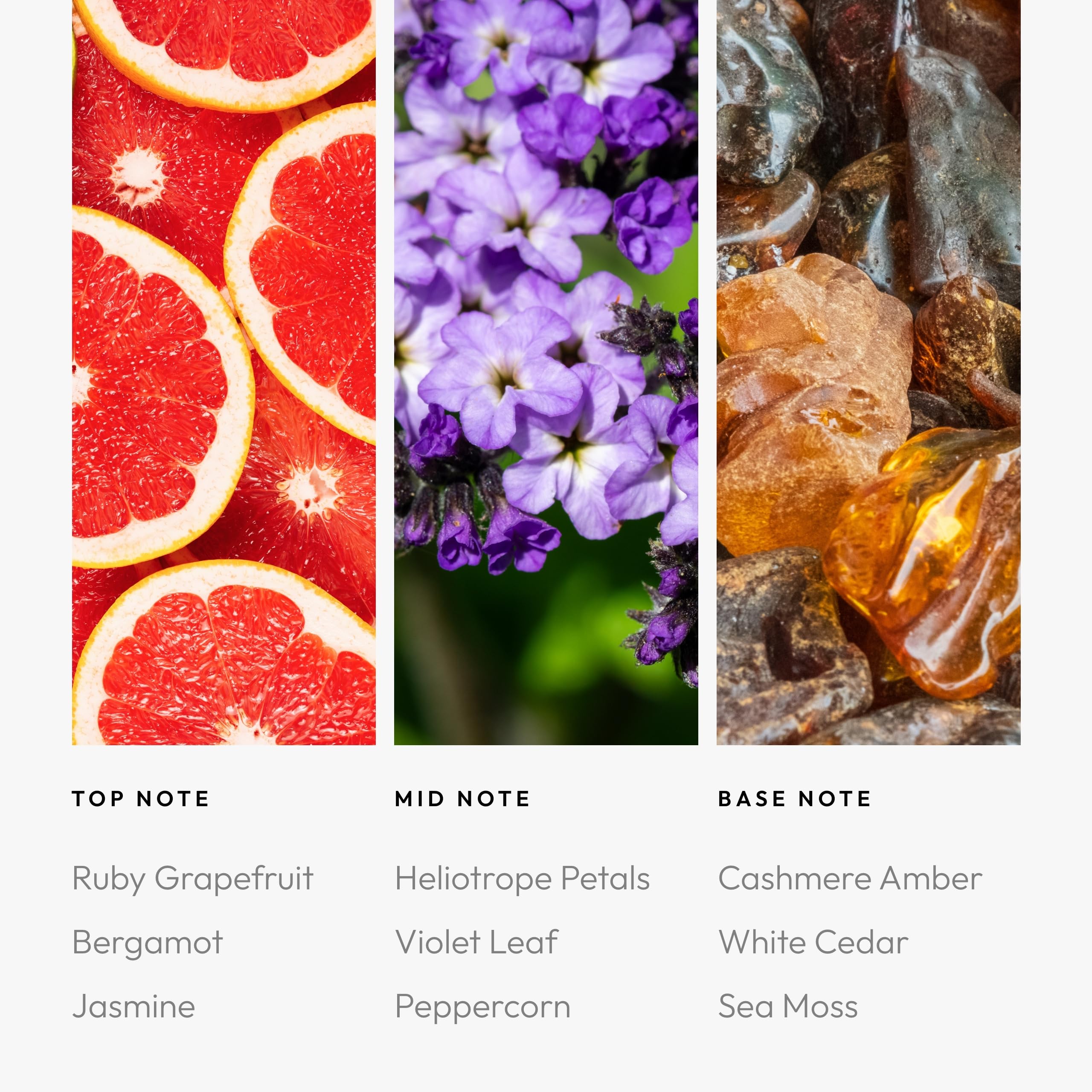Aroma360 note-ambre-cashmere: base chaleureuse qui prolonge le parfum dans le temps.