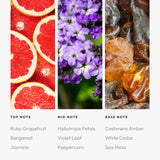 Aroma360 note-ambre-cashmere: base chaleureuse qui prolonge le parfum dans le temps.