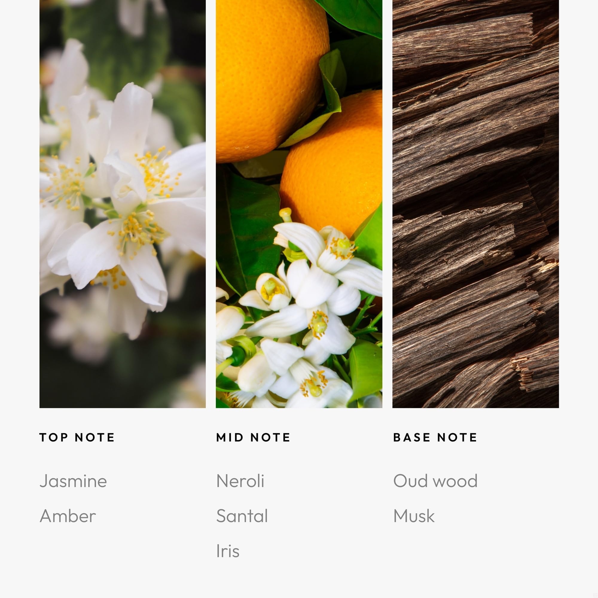 Aroma360: notes jasmin-ambre pour une impression olfactive enveloppante.