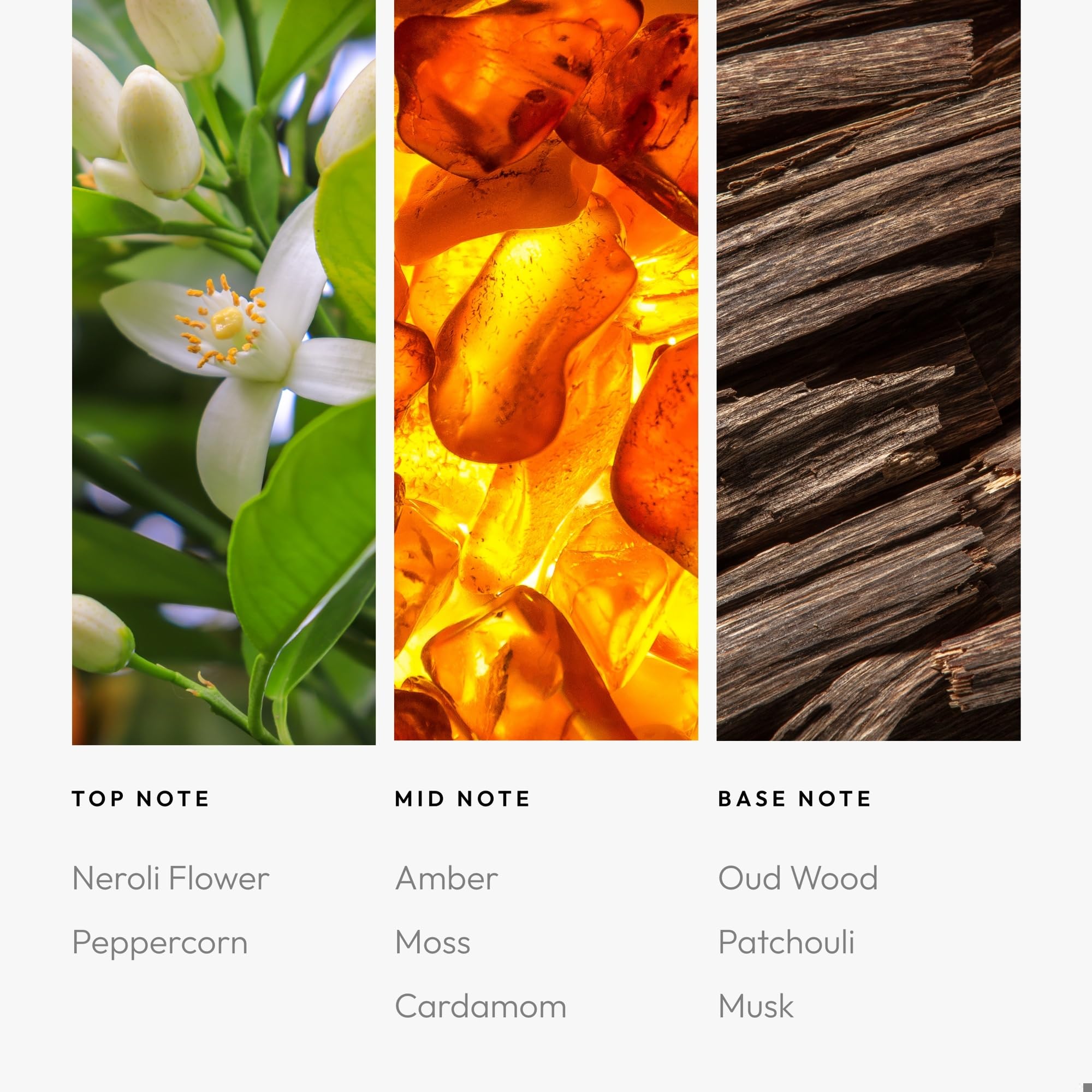 Aroma360 Pourpre: notes de cardamome pour une touche épicée.