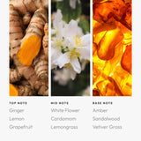 Aroma360 Pro Pod signe-verseau, ambiance inspirée par Verseau