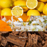 Aromadd 24K Celestia, note citrus florale pour éclairer l’espace avec élégance.