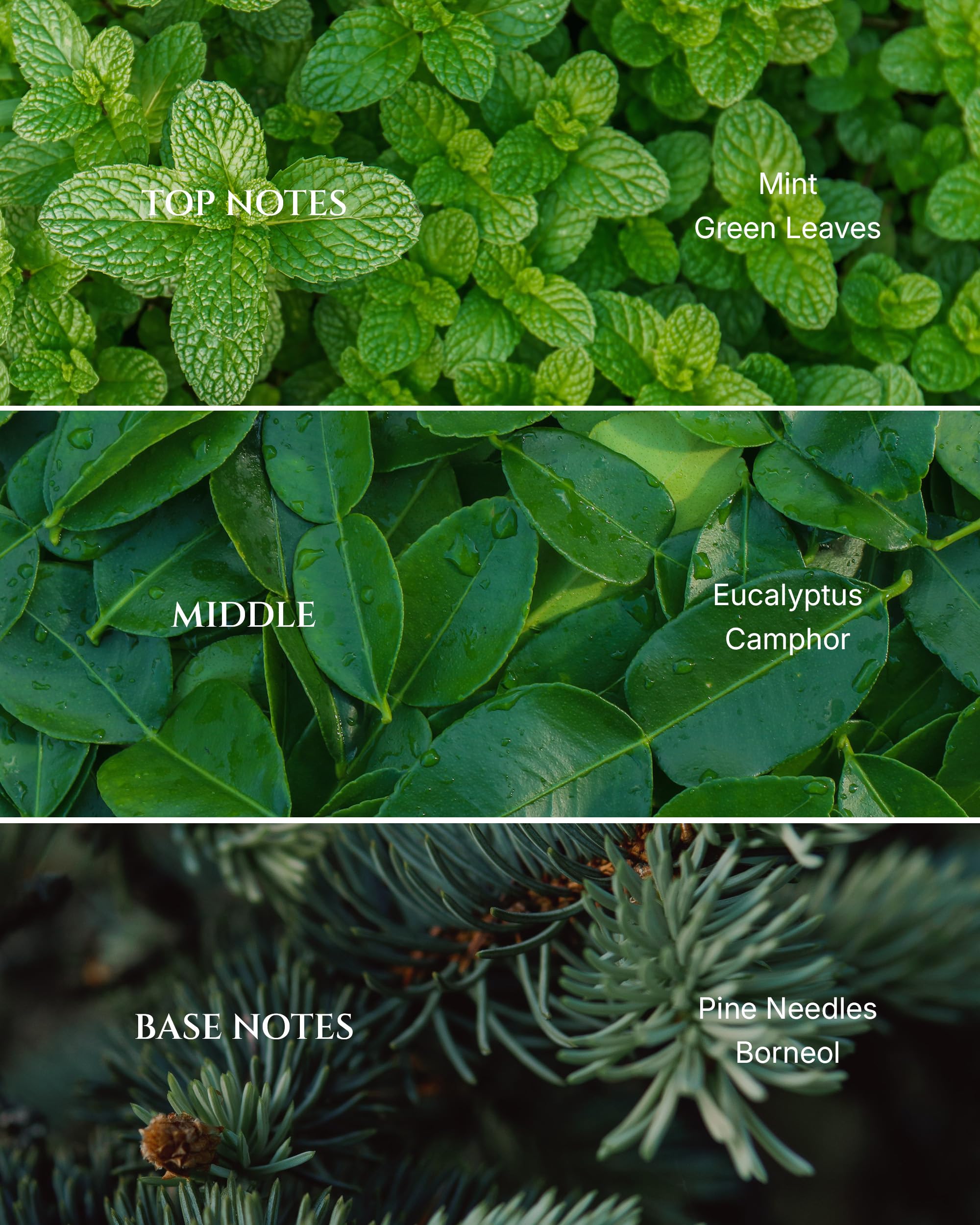 AROMADD Breathe - emballage élégant, fragrance subtile et accueillante.