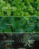 AROMADD Breathe - emballage élégant, fragrance subtile et accueillante.