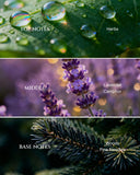 Aromadd : huile pour diffusion, flacon élégant prêt à aromathérapie