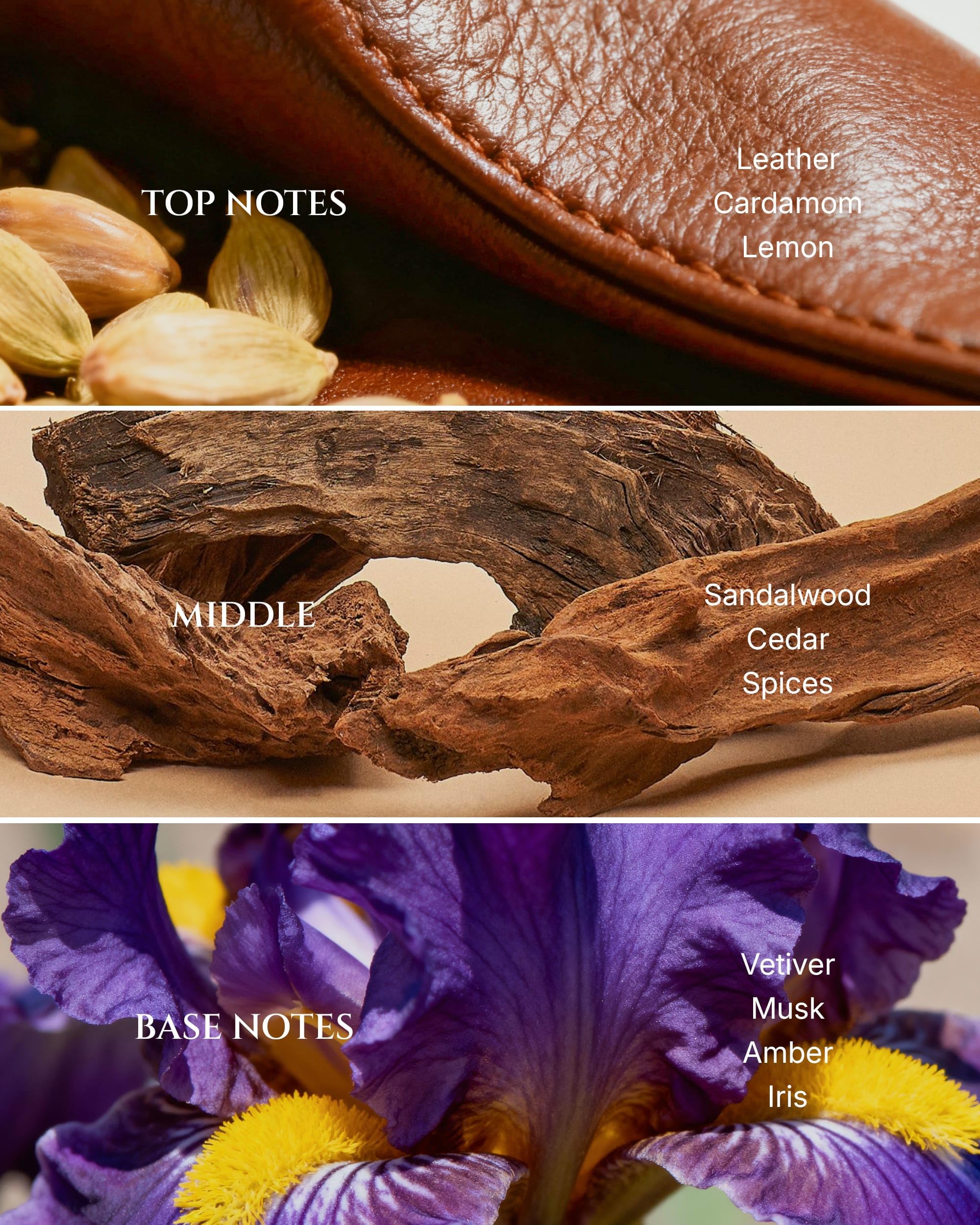 AROMADD Way: flacon en verre transmettant une senteur sophistiquée pour l'aromathérapie à domicile.