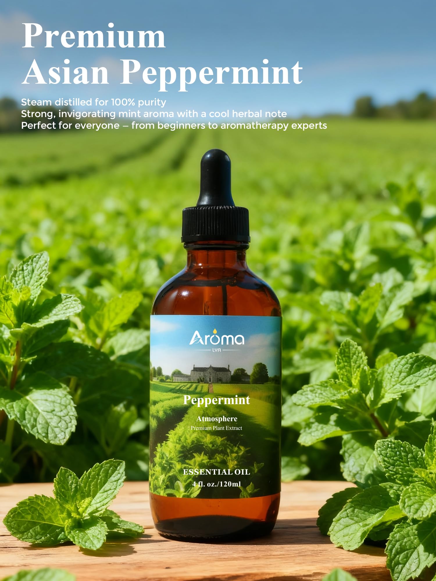 Aromalya Huile Menthe – boîte cadeau premium prête à offrir.