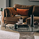 AromaTech citrouille-epices-diffuseur-ultrasonique, expérience olfactive immersive dans votre espace.